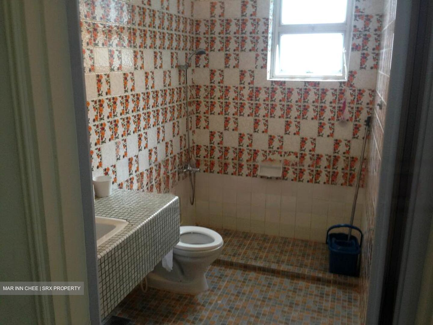 Equatorial Apartments (D15), Apartment #463194151